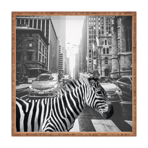 Dagmar Pels Zebra in New York City Square Tray