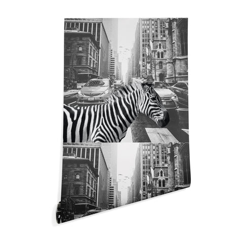 Dagmar Pels Zebra in New York City Wallpaper