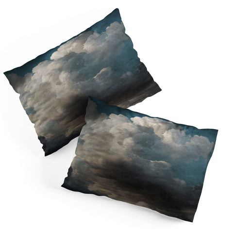 Dan Hobday Art Sky View Pillow Shams