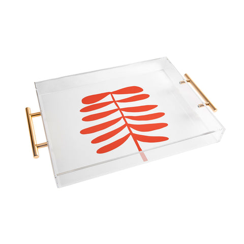 Dan Hobday Art Vxt Acrylic Tray