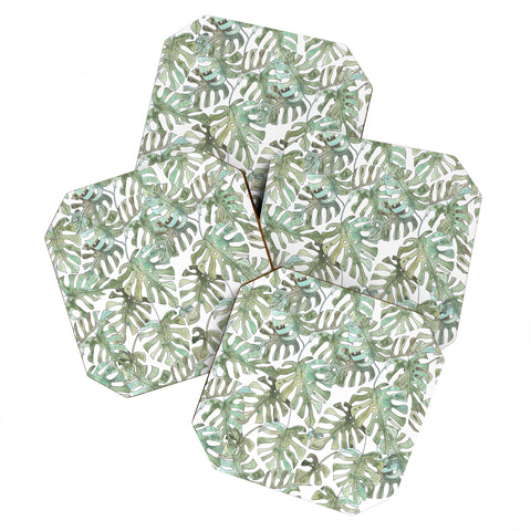 Dash and Ash Climbing Monstera Coaster Set