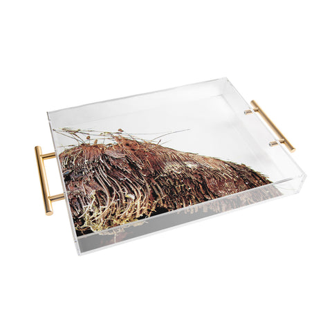 Deb Haugen Coconut 1 Acrylic Tray