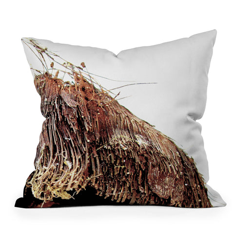 Deb Haugen Coconut 1 Outdoor Throw Pillow