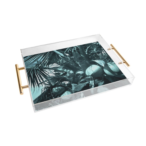 Deb Haugen cool coco Acrylic Tray