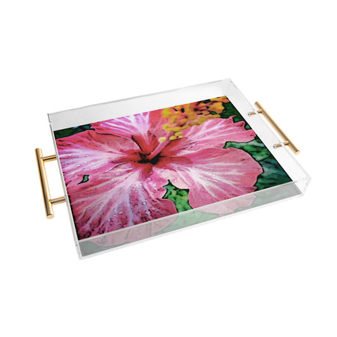 Deb Haugen Crozier 1 Acrylic Tray