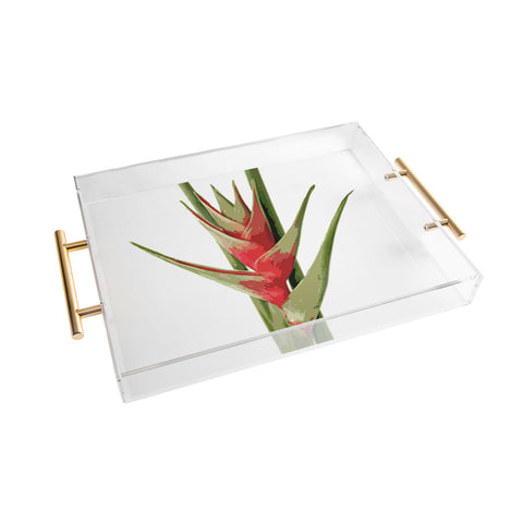 Deb Haugen Heliconia 2 Acrylic Tray