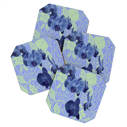 Deb Haugen Orchids Hauula Coaster Set