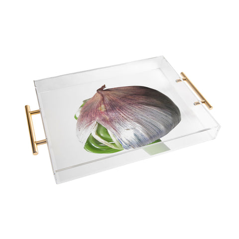 Deb Haugen Organika Acrylic Tray
