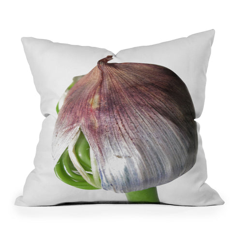 Deb Haugen Organika Outdoor Throw Pillow