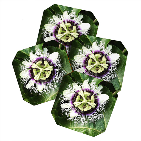 Deb Haugen Passion fruit Coaster Set