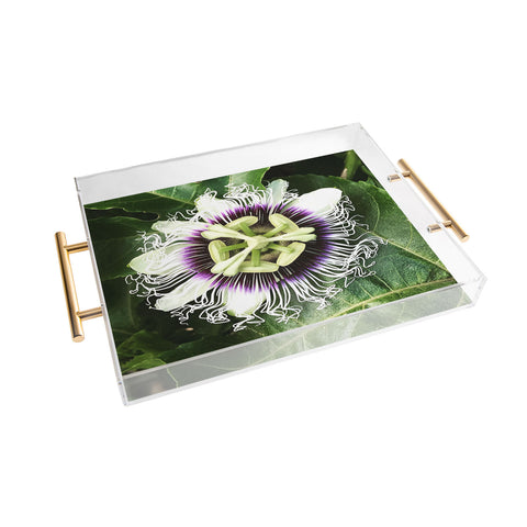 Deb Haugen Passion fruit Acrylic Tray