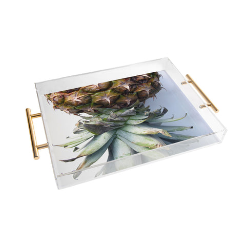 Deb Haugen Pineapple 2 Acrylic Tray