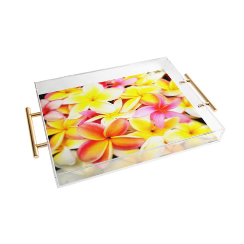 Deb Haugen Plumeria Dream Acrylic Tray