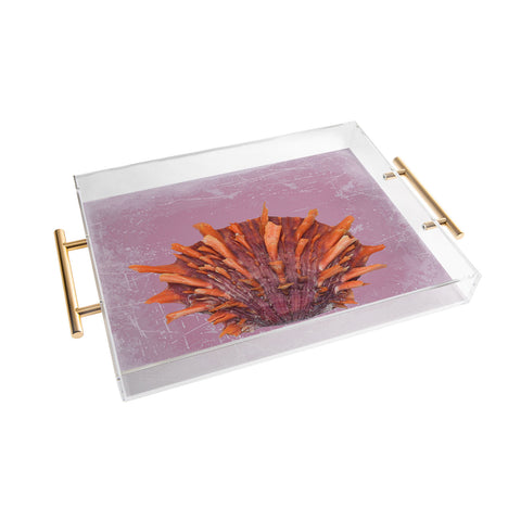 Deb Haugen Shell Orange Acrylic Tray