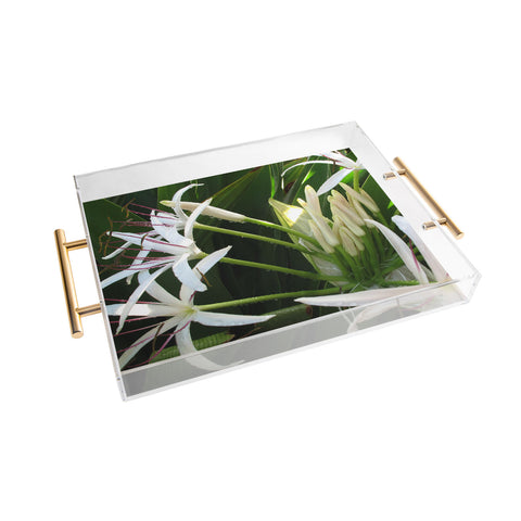 Deb Haugen spider lily Acrylic Tray