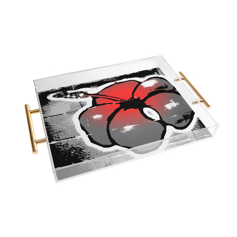 Deb Haugen Waiman Acrylic Tray