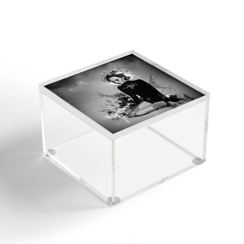 Deniz Ercelebi BWD Acrylic Box