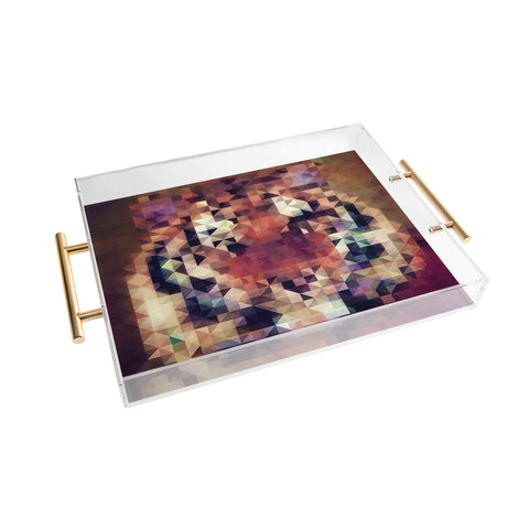 Deniz Ercelebi Tigris Acrylic Tray