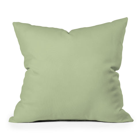 DENY Designs Light Green 580c Outdoor Throw Pillow