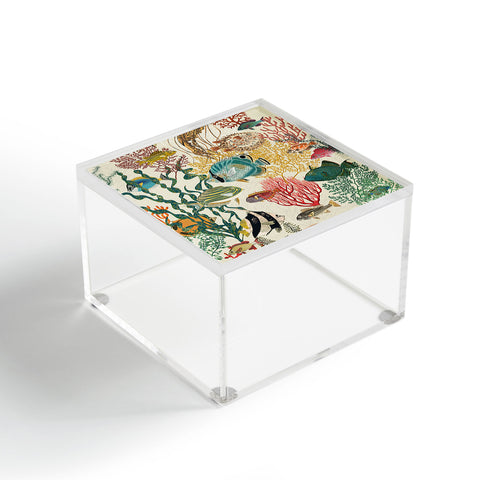 DESIGN dannick coral reef deep silence Acrylic Box
