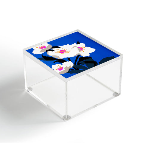 DESIGN dannick Flower Market London I Acrylic Box