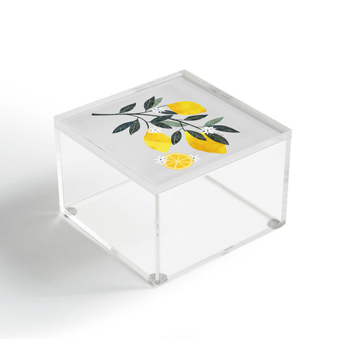 El buen limon Lemon tree branch Acrylic Box