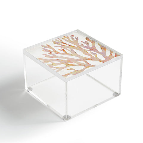 El buen limon Marine corals Acrylic Box