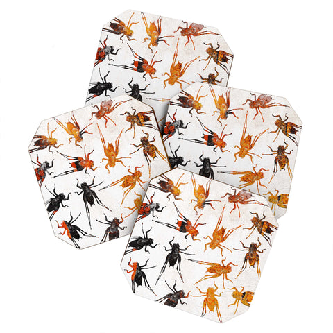 Elisabeth Fredriksson Grasshoppers 3 Coaster Set