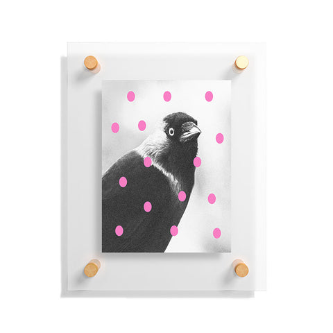 Elisabeth Fredriksson Jackdaw Floating Acrylic Print