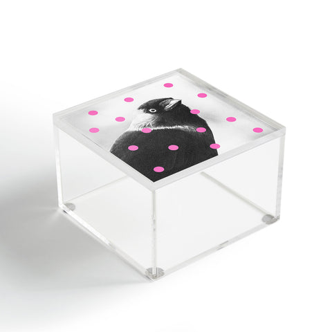 Elisabeth Fredriksson Jackdaw Acrylic Box