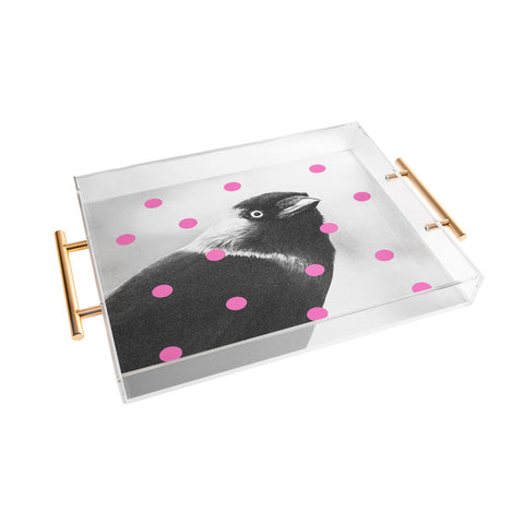 Elisabeth Fredriksson Jackdaw Acrylic Tray