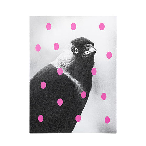 Elisabeth Fredriksson Jackdaw Poster