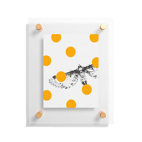 Elisabeth Fredriksson Moth Floating Acrylic Print