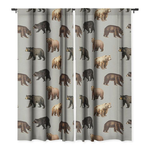 Emanuela Carratoni Bears Theme Blackout Non Repeat