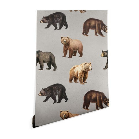 Emanuela Carratoni Bears Theme Wallpaper