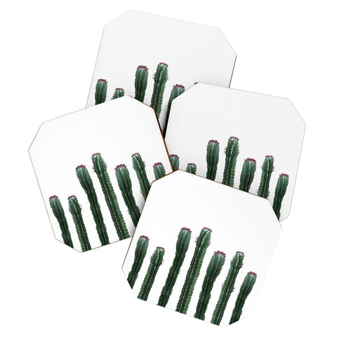 Emanuela Carratoni The Cactus Mood Coaster Set