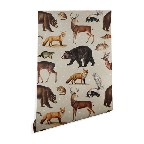 Emanuela Carratoni Wild Forest Animals Wallpaper