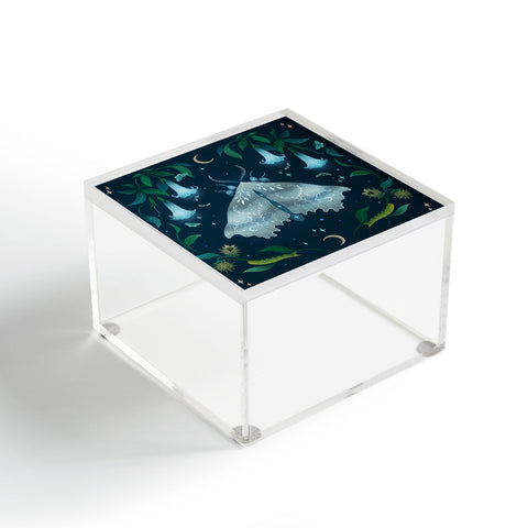 episodic drawing White Angel Moth Acrylic Box