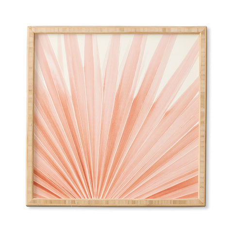 Eye Poetry Photography Blush Pink Fan Palm Framed Wall Art