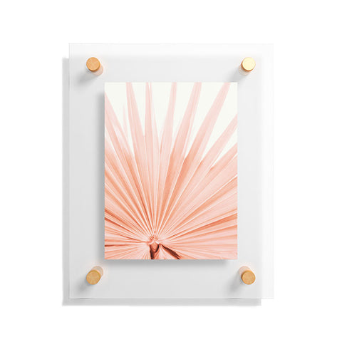 Eye Poetry Photography Blush Pink Fan Palm Floating Acrylic Print