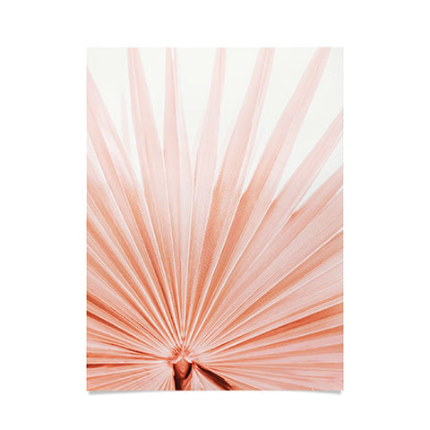 Eye Poetry Photography Blush Pink Fan Palm Poster
