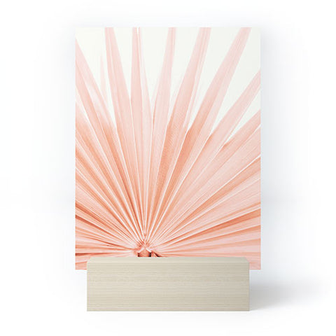 Eye Poetry Photography Blush Pink Fan Palm Mini Art Print