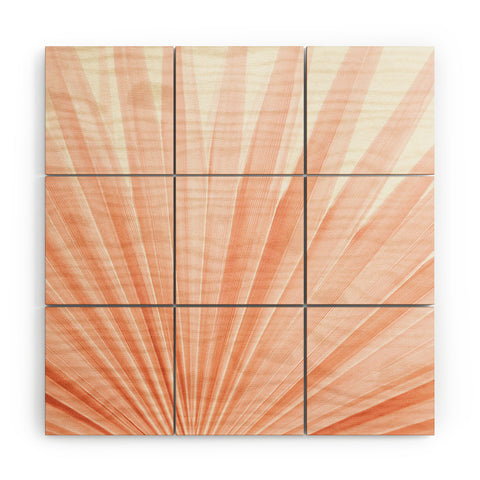 Eye Poetry Photography Blush Pink Fan Palm Wood Wall Mural