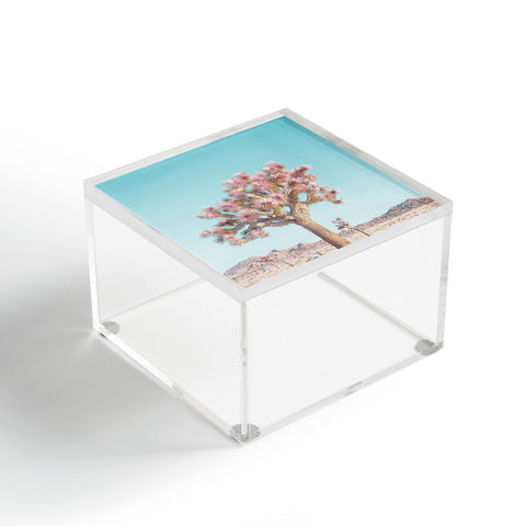 Eye Poetry Photography Desert Dream Joshua Tree Land Acrylic Box