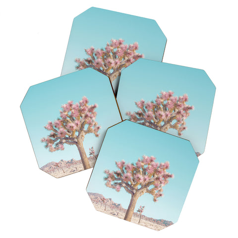 Eye Poetry Photography Desert Dream Joshua Tree Land Coaster Set