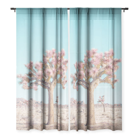 Eye Poetry Photography Desert Dream Joshua Tree Land Sheer Non Repeat