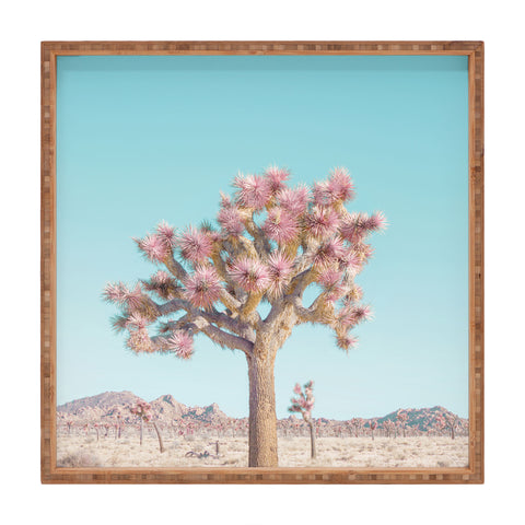 Eye Poetry Photography Desert Dream Joshua Tree Land Square Tray