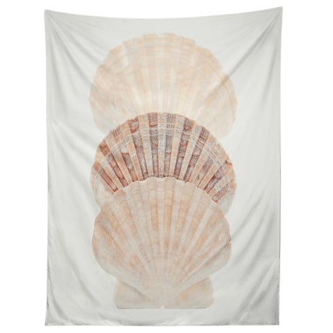 Eye Poetry Photography Of the Sea Tapestry