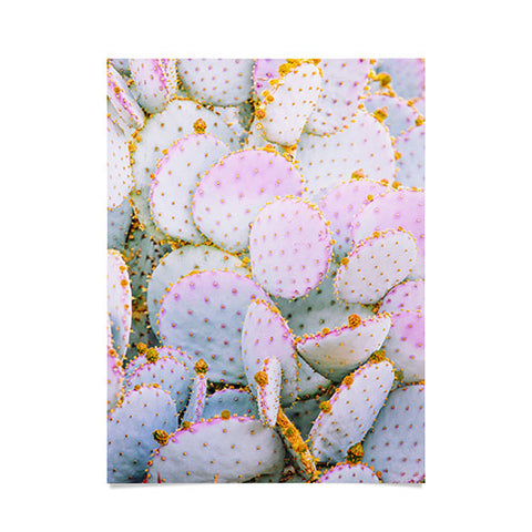 Eye Poetry Photography Prickly Pear Photography Poster