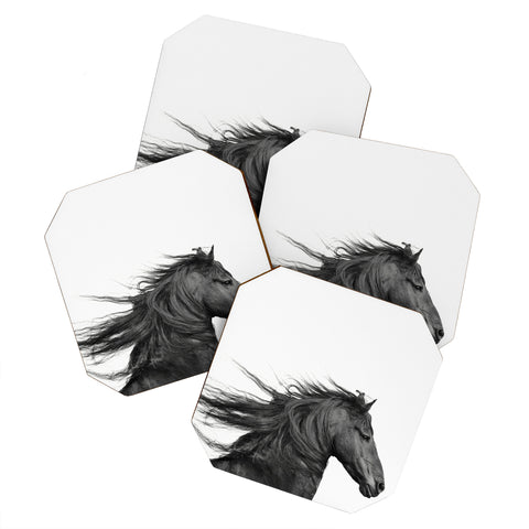 Eye Poetry Photography Wild Horse Photography in Black and White Coaster Set